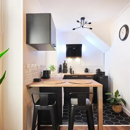 Tres Elegant Duplex, Proche Gare Apartment Grenoble